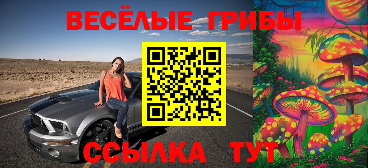 Галлюциногенные грибы прущие грибы Луховицы