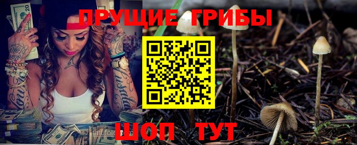 Луховицы  Псилоцибиновые грибы Psilocybine cubensis  Галлюциногенные грибы прущие грибы  Вход с VPN 